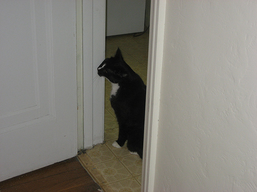 3094779147_2fe875cd6b