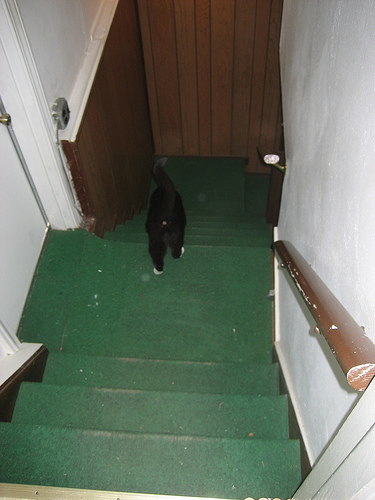 3095621406_b008f56268