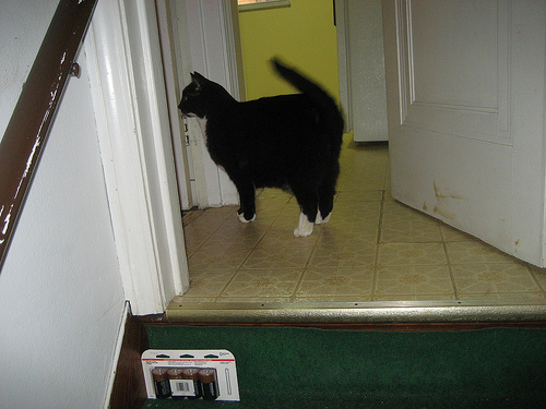 3095621486_dbe729710b