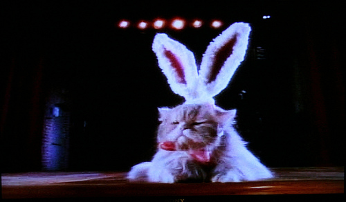 3383251889_f6f3ea7f77