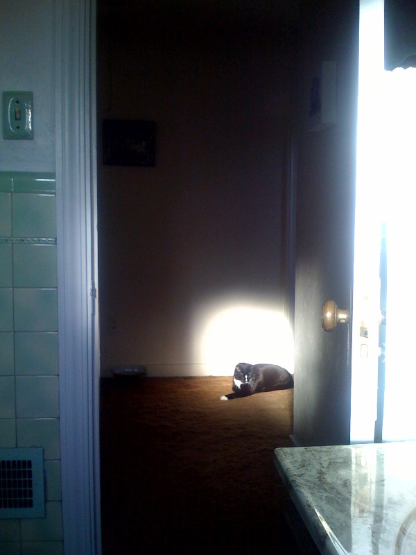 But I think I like it.