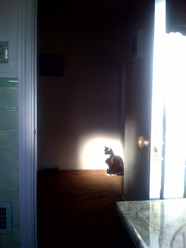 I'm not sure what's going on here.