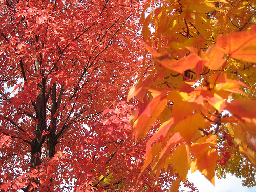 4048180075_8e4a31857b