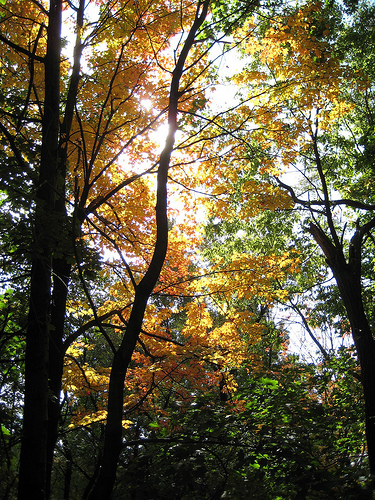 4048915944_acb84b9a3e