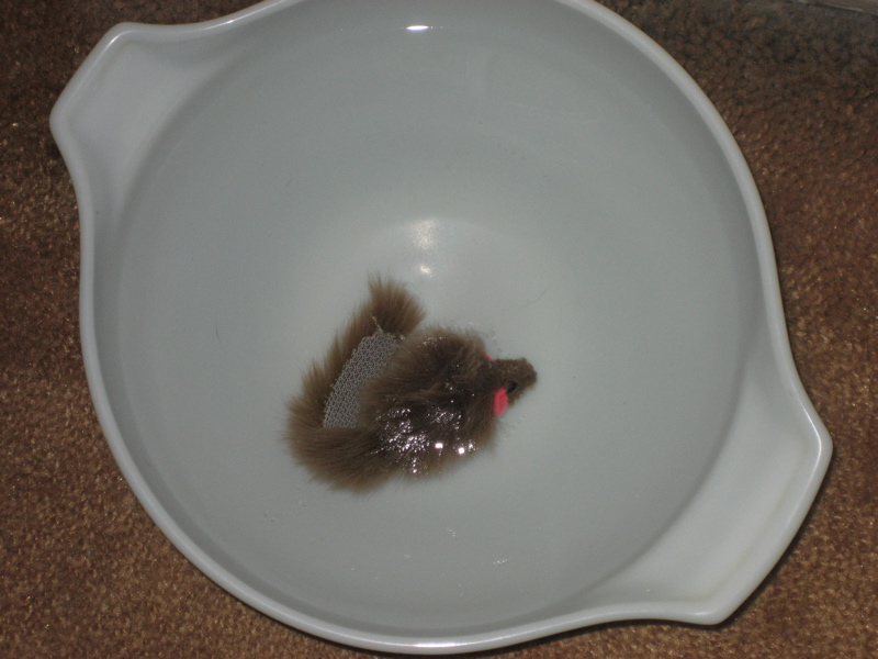 mousie